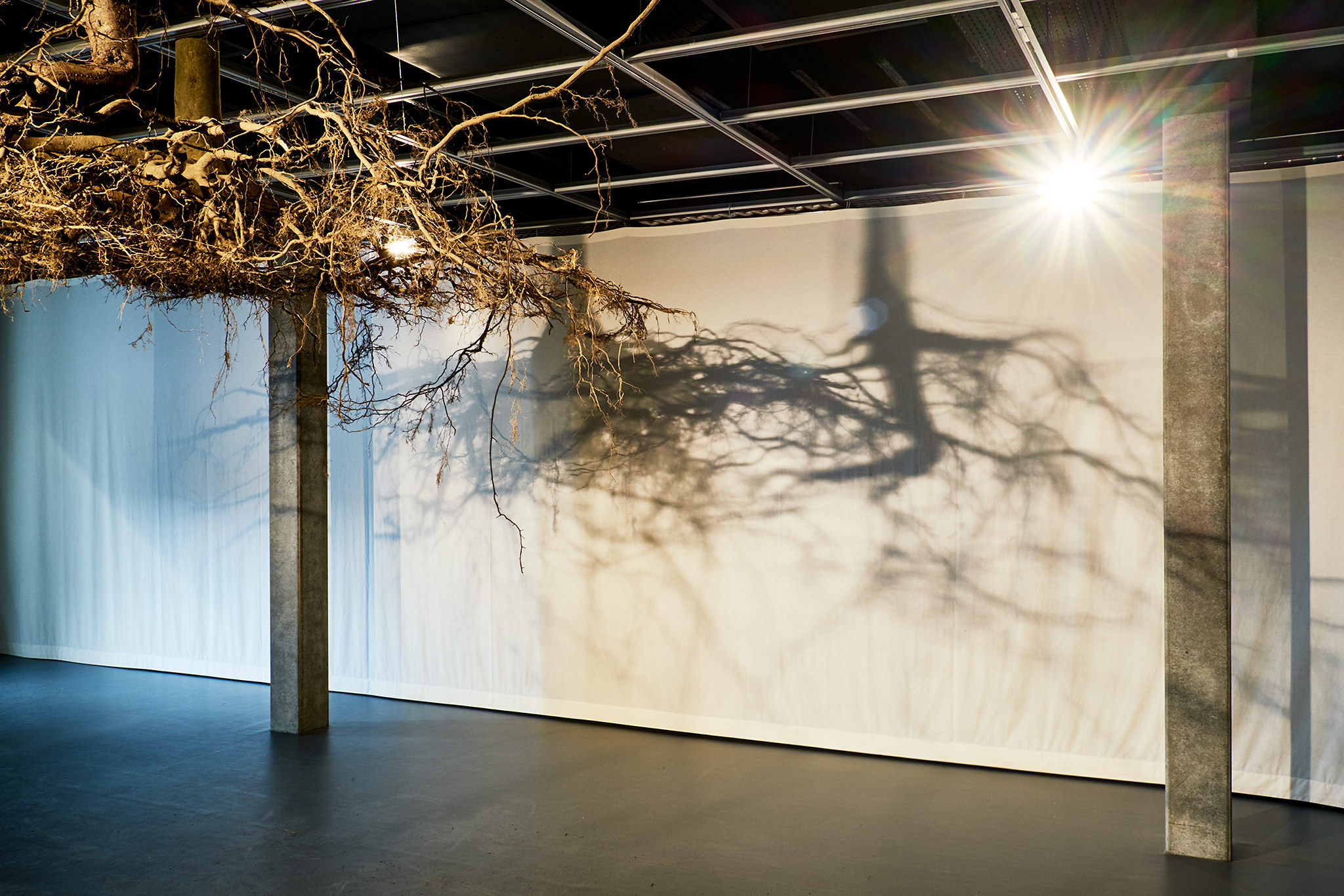 LIVE MATTER - Design Vegetal